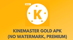 KineMaster GOLD APK Download