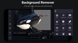 KineMaster MOD APK - Background Remover